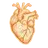 heart icon