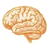 brain icon